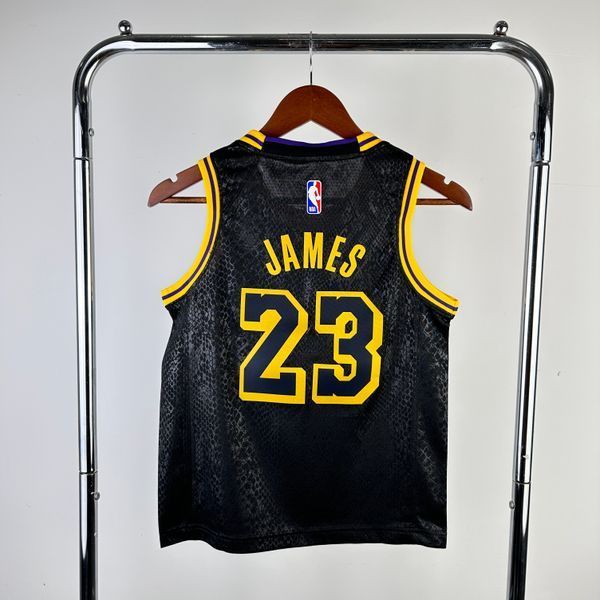 Los Angeles Lakers 2023-24 Special James 23 f0eca37e фото