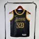 Los Angeles Lakers 2023-24 Special James 23 f0eca37e фото 1