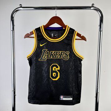 Los Angeles Lakers 2023-24 Special James 6 e5d82963 фото