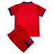 2025/26 Дитяча футбольна форма ПСЖ резервний kit-psg-away-red_kids фото 2