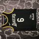 Los Angeles Lakers LeBron James Black MVP Swingman dc3e1c9a фото 1
